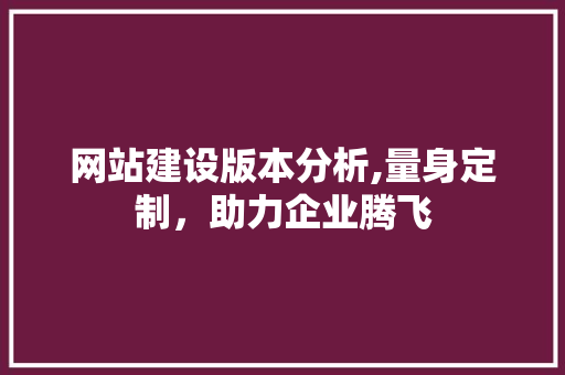 网站建设版本分析,量身定制，助力企业腾飞