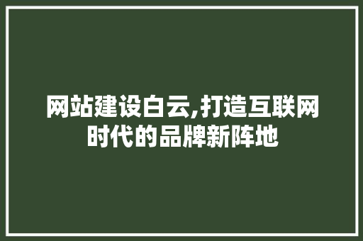 网站建设白云,打造互联网时代的品牌新阵地