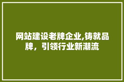 网站建设老牌企业,铸就品牌，引领行业新潮流