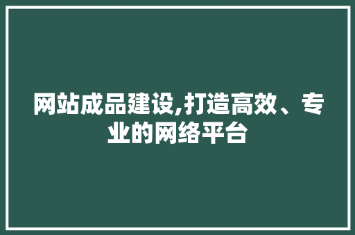 网站成品建设,打造高效、专业的网络平台