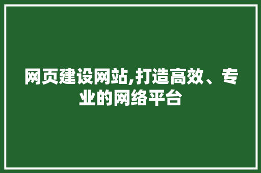 网页建设网站,打造高效、专业的网络平台