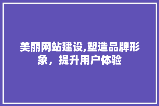 美丽网站建设,塑造品牌形象，提升用户体验
