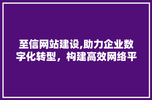 至信网站建设,助力企业数字化转型，构建高效网络平台