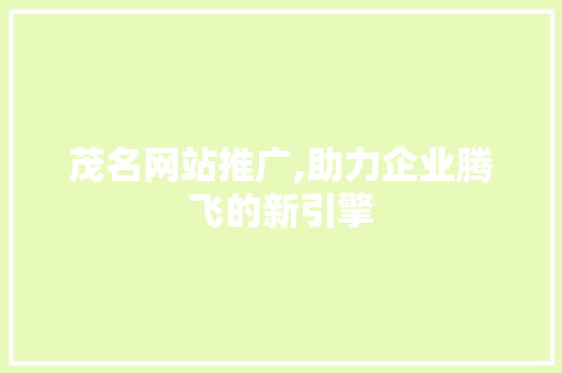 茂名网站推广,助力企业腾飞的新引擎