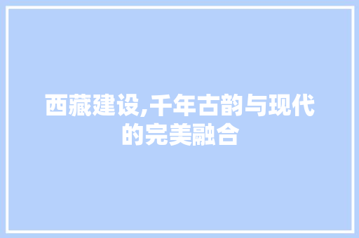 西藏建设,千年古韵与现代的完美融合
