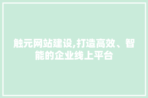 触元网站建设,打造高效、智能的企业线上平台