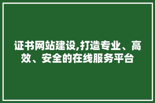 证书网站建设,打造专业、高效、安全的在线服务平台