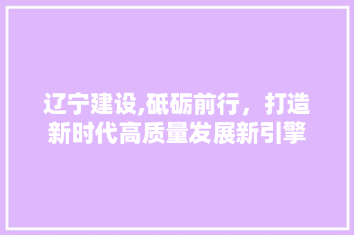 辽宁建设,砥砺前行，打造新时代高质量发展新引擎