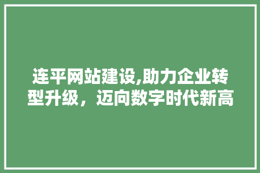 连平网站建设,助力企业转型升级，迈向数字时代新高峰