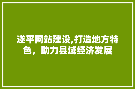遂平网站建设,打造地方特色，助力县域经济发展
