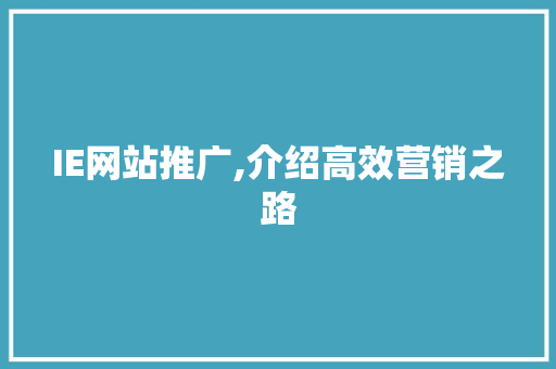 IE网站推广,介绍高效营销之路