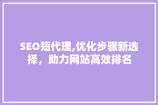 SEO短代理,优化步骤新选择，助力网站高效排名