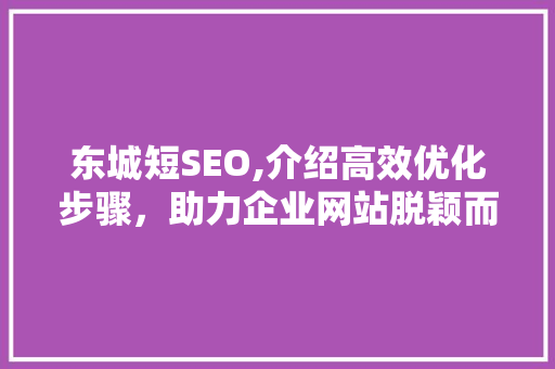 东城短SEO,介绍高效优化步骤，助力企业网站脱颖而出