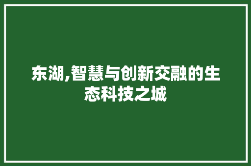东湖,智慧与创新交融的生态科技之城