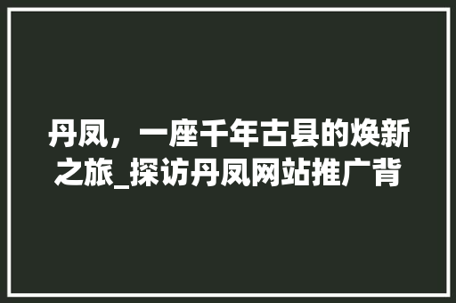 丹凤，一座千年古县的焕新之旅_探访丹凤网站推广背后的故事