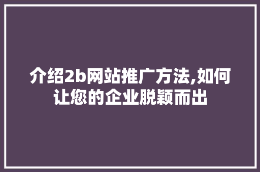 介绍2b网站推广方法,如何让您的企业脱颖而出