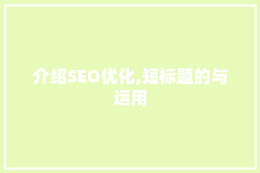 介绍SEO优化,短标题的与运用
