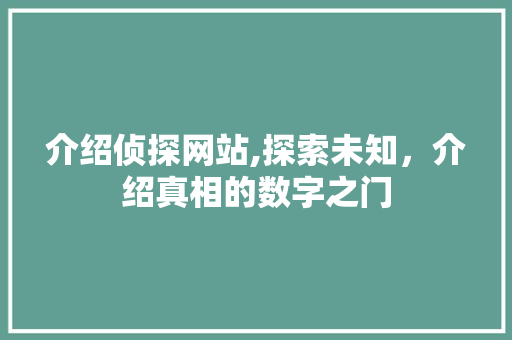 介绍侦探网站,探索未知，介绍真相的数字之门