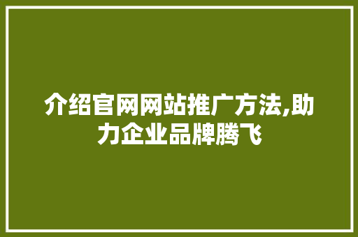 介绍官网网站推广方法,助力企业品牌腾飞