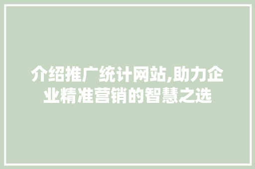 介绍推广统计网站,助力企业精准营销的智慧之选