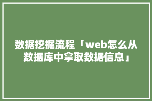 数据挖掘流程「web怎么从数据库中拿取数据信息」 数据挖掘流程「web怎么从数据库中拿取数据信息」 Web前端