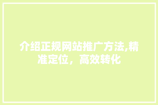 介绍正规网站推广方法,精准定位，高效转化