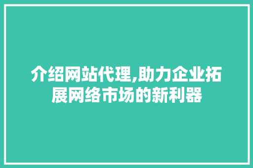 介绍网站代理,助力企业拓展网络市场的新利器