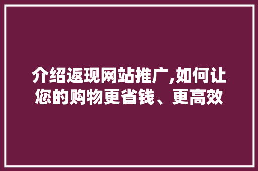 介绍返现网站推广,如何让您的购物更省钱、更高效