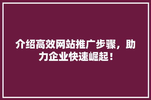 介绍高效网站推广步骤，助力企业快速崛起！