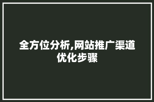 全方位分析,网站推广渠道优化步骤 建站教程