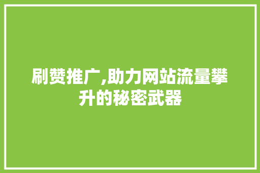 刷赞推广,助力网站流量攀升的秘密武器