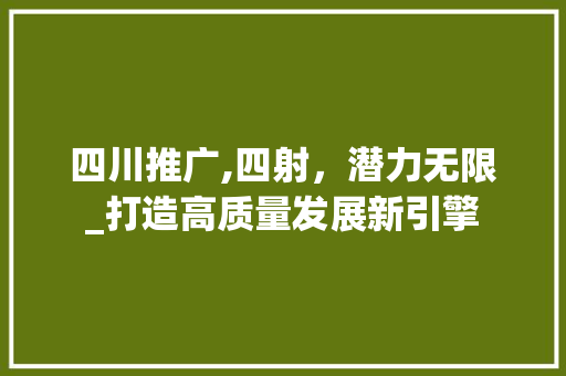 四川推广,四射，潜力无限_打造高质量发展新引擎