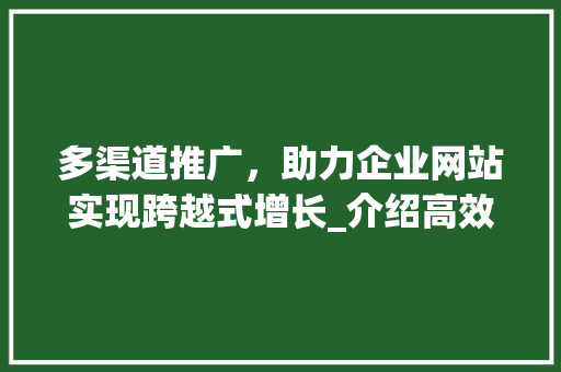多渠道推广，助力企业网站实现跨越式增长_介绍高效推广步骤