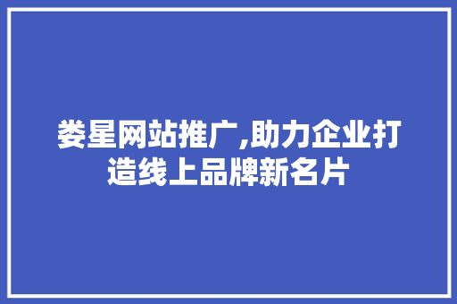 娄星网站推广,助力企业打造线上品牌新名片