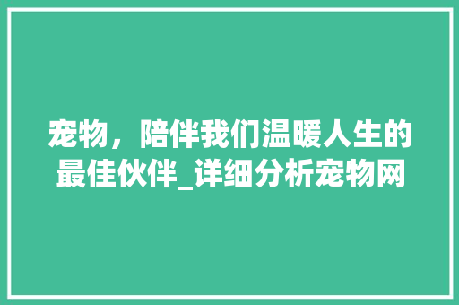 宠物，陪伴我们温暖人生的最佳伙伴_详细分析宠物网站的价值与