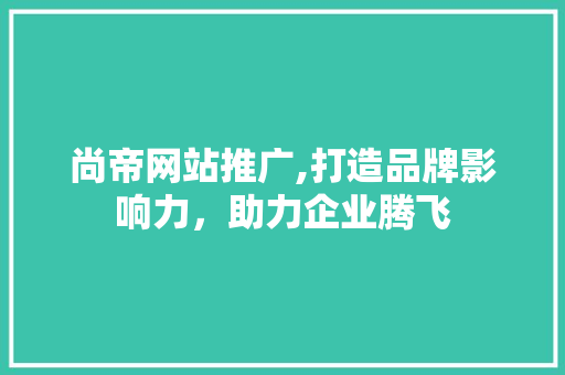 尚帝网站推广,打造品牌影响力，助力企业腾飞