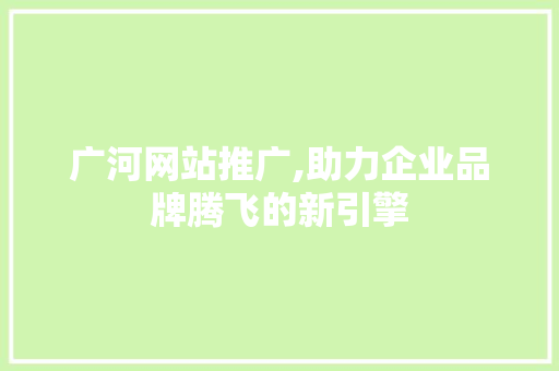广河网站推广,助力企业品牌腾飞的新引擎