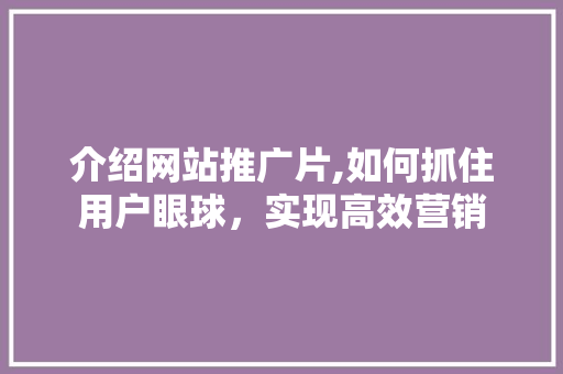 介绍网站推广片,如何抓住用户眼球，实现高效营销