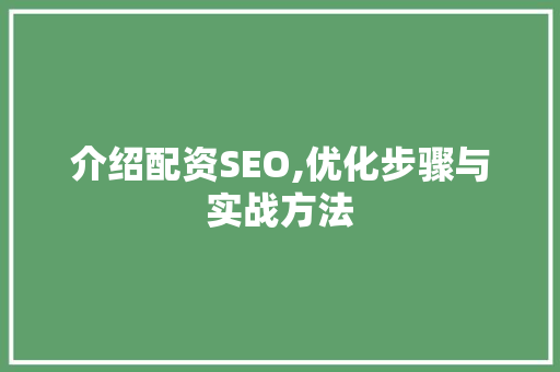 介绍配资SEO,优化步骤与实战方法