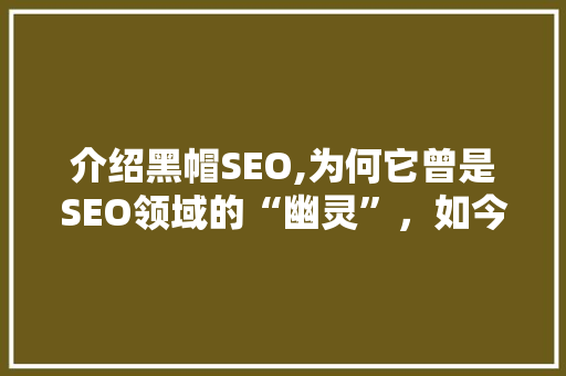 介绍黑帽SEO,为何它曾是SEO领域的“幽灵”，如今却渐行渐远 Web前端