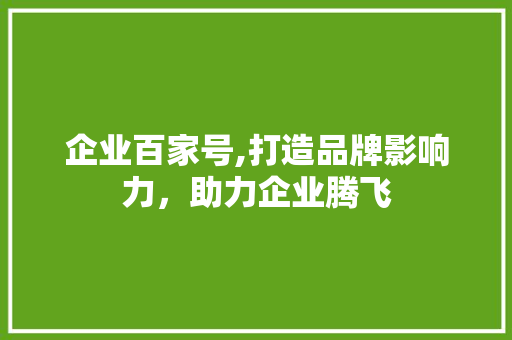 企业百家号,打造品牌影响力，助力企业腾飞