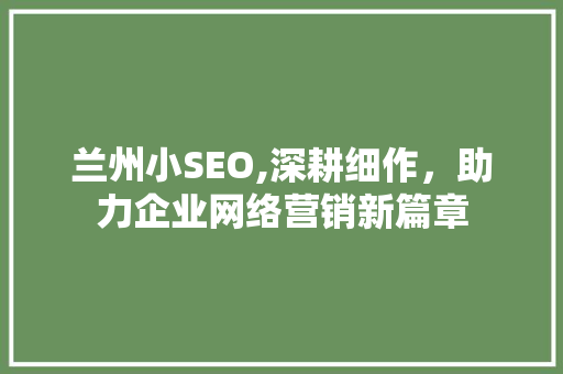 兰州小SEO,深耕细作，助力企业网络营销新篇章