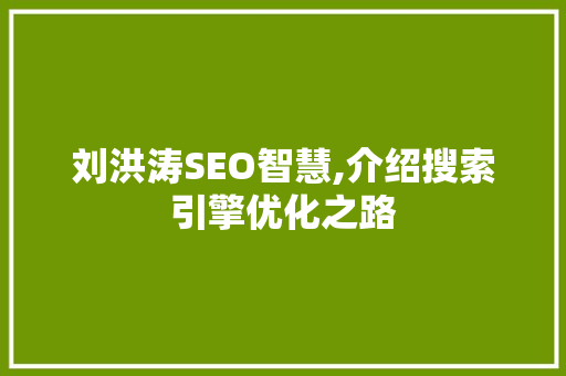 刘洪涛SEO智慧,介绍搜索引擎优化之路