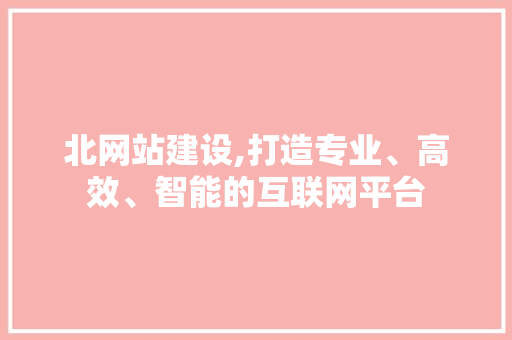 北网站建设,打造专业、高效、智能的互联网平台