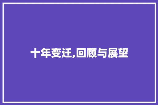 十年变迁,回顾与展望