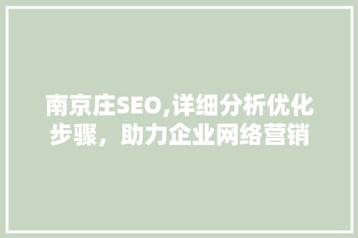 南京庄SEO,详细分析优化步骤，助力企业网络营销