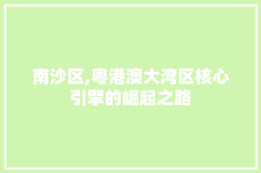南沙区,粤港澳大湾区核心引擎的崛起之路