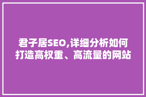 君子居SEO,详细分析如何打造高权重、高流量的网站 SEO教程