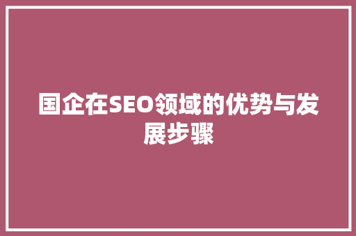 国企在SEO领域的优势与发展步骤 WordPress教程