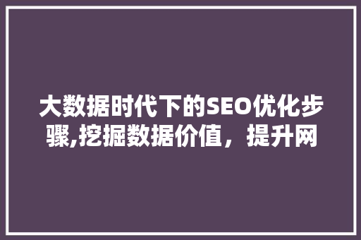 大数据时代下的SEO优化步骤,挖掘数据价值，提升网站排名